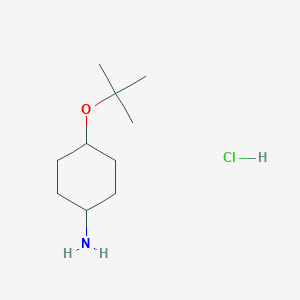 molecular formula C10H22ClNO B3250671 4-(叔丁氧基)环己胺盐酸盐 CAS No. 2044773-25-1