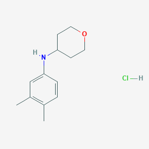 molecular formula C13H20ClNO B3250684 N-(3,4-dimethylphenyl)oxan-4-amine hydrochloride CAS No. 2044927-47-9