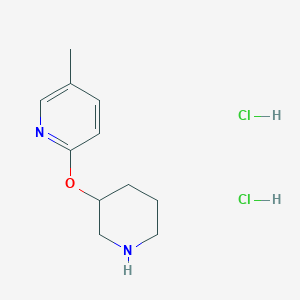 molecular formula C11H18Cl2N2O B3250979 5-Methyl-2-(piperidin-3-yloxy)pyridine dihydrochloride CAS No. 2060041-44-1