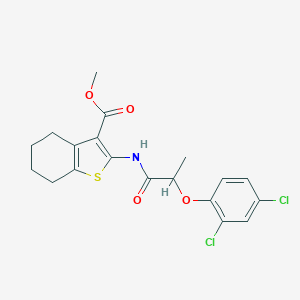 molecular formula C19H19Cl2NO4S B325415 Methyl 2-{[2-(2,4-dichlorophenoxy)propanoyl]amino}-4,5,6,7-tetrahydro-1-benzothiophene-3-carboxylate 