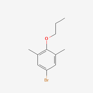 molecular formula C11H15BrO B3254968 5-Bromo-1,3-dimethyl-2-propoxybenzene CAS No. 247080-84-8