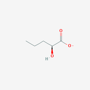 molecular formula C5H9O3- B3260528 (2S)-2-hydroxypentanoate CAS No. 331717-42-1