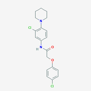 molecular formula C19H20Cl2N2O2 B327126 N-[3-CHLORO-4-(PIPERIDIN-1-YL)PHENYL]-2-(4-CHLOROPHENOXY)ACETAMIDE 