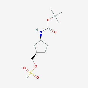 molecular formula C12H23NO5S B3290006 Carbamic acid, N-[(1S,3R)-3-[[(methylsulfonyl)oxy]methyl]cyclopentyl]-, 1,1-dimethylethyl ester CAS No. 862700-30-9