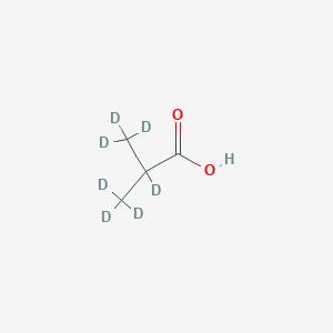 molecular formula C4H8O2 B032904 2-Methylpropionic-d7 acid CAS No. 223134-74-5