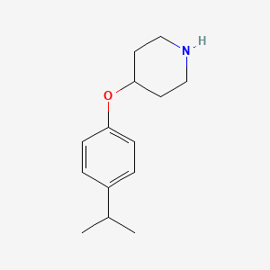 molecular formula C14H21NO B3296531 4-(4-Isopropylphenoxy)piperidine CAS No. 893763-12-7