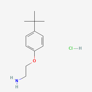 molecular formula C12H20ClNO B3301336 2-(4-tert-butylphenoxy)ethanamine hydrochloride CAS No. 908596-56-5