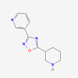 molecular formula C12H14N4O B3302272 5-(Piperidin-3-yl)-3-(pyridin-3-yl)-1,2,4-oxadiazole CAS No. 915924-54-8