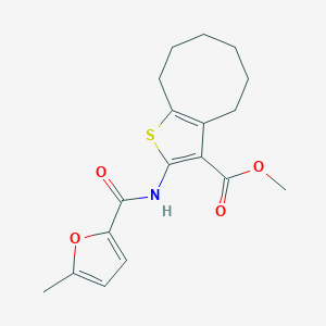 molecular formula C18H21NO4S B330228 METHYL 2-{[(5-METHYL-2-FURYL)CARBONYL]AMINO}-4,5,6,7,8,9-HEXAHYDROCYCLOOCTA[B]THIOPHENE-3-CARBOXYLATE 