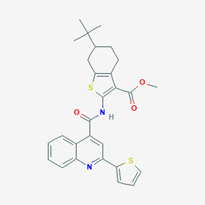molecular formula C28H28N2O3S2 B330269 METHYL 6-(TERT-BUTYL)-2-({[2-(2-THIENYL)-4-QUINOLYL]CARBONYL}AMINO)-4,5,6,7-TETRAHYDRO-1-BENZOTHIOPHENE-3-CARBOXYLATE 
