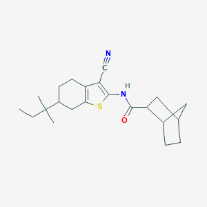 molecular formula C22H30N2OS B330311 N-[3-cyano-6-(2-methylbutan-2-yl)-4,5,6,7-tetrahydro-1-benzothiophen-2-yl]bicyclo[2.2.1]heptane-2-carboxamide 