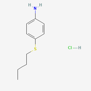 molecular formula C10H16ClNS B3305211 [4-(Butylthio)phenyl]amine hydrochloride CAS No. 92286-68-5