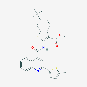 molecular formula C29H30N2O3S2 B330569 METHYL 6-(TERT-BUTYL)-2-({[2-(5-METHYL-2-THIENYL)-4-QUINOLYL]CARBONYL}AMINO)-4,5,6,7-TETRAHYDRO-1-BENZOTHIOPHENE-3-CARBOXYLATE 