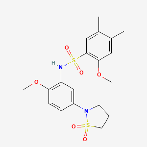 molecular formula C19H24N2O6S2 B3309349 N-[5-(1,1-dioxo-1lambda6,2-thiazolidin-2-yl)-2-methoxyphenyl]-2-methoxy-4,5-dimethylbenzene-1-sulfonamide CAS No. 941944-37-2