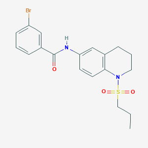 molecular formula C19H21BrN2O3S B3311968 3-bromo-N-[1-(propane-1-sulfonyl)-1,2,3,4-tetrahydroquinolin-6-yl]benzamide CAS No. 946281-90-9