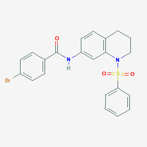 molecular formula C22H19BrN2O3S B3312152 N-[1-(benzenesulfonyl)-1,2,3,4-tetrahydroquinolin-7-yl]-4-bromobenzamide CAS No. 946298-40-4