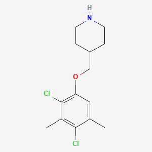 4-[(2,4-Dichloro-3,5-dimethylphenoxy)methyl]-piperidine