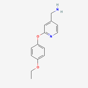 molecular formula C14H16N2O2 B3316690 [2-(4-Ethoxyphenoxy)pyridin-4-yl]methanamine CAS No. 954273-98-4