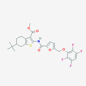 molecular formula C26H25F4NO5S B331728 METHYL 6-(TERT-BUTYL)-2-[({5-[(2,3,5,6-TETRAFLUOROPHENOXY)METHYL]-2-FURYL}CARBONYL)AMINO]-4,5,6,7-TETRAHYDRO-1-BENZOTHIOPHENE-3-CARBOXYLATE 