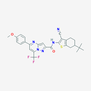 molecular formula C28H26F3N5O2S B332029 N-(6-tert-butyl-3-cyano-4,5,6,7-tetrahydro-1-benzothiophen-2-yl)-5-(4-methoxyphenyl)-7-(trifluoromethyl)pyrazolo[1,5-a]pyrimidine-2-carboxamide 