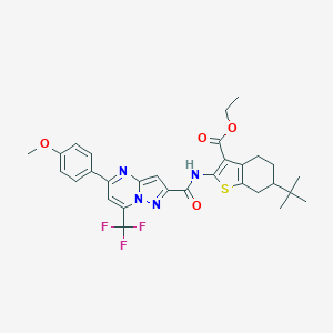 molecular formula C30H31F3N4O4S B332031 ETHYL 6-TERT-BUTYL-2-[5-(4-METHOXYPHENYL)-7-(TRIFLUOROMETHYL)PYRAZOLO[1,5-A]PYRIMIDINE-2-AMIDO]-4,5,6,7-TETRAHYDRO-1-BENZOTHIOPHENE-3-CARBOXYLATE 