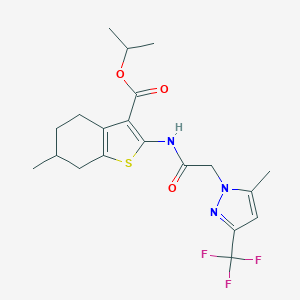 molecular formula C20H24F3N3O3S B332063 ISOPROPYL 6-METHYL-2-({2-[5-METHYL-3-(TRIFLUOROMETHYL)-1H-PYRAZOL-1-YL]ACETYL}AMINO)-4,5,6,7-TETRAHYDRO-1-BENZOTHIOPHENE-3-CARBOXYLATE 