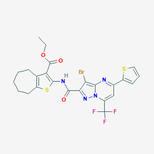 molecular formula C24H20BrF3N4O3S2 B332136 ETHYL 2-[3-BROMO-5-(THIOPHEN-2-YL)-7-(TRIFLUOROMETHYL)PYRAZOLO[1,5-A]PYRIMIDINE-2-AMIDO]-4H,5H,6H,7H,8H-CYCLOHEPTA[B]THIOPHENE-3-CARBOXYLATE 