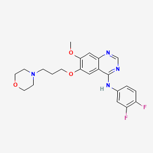 molecular formula C22H24F2N4O3 B3324392 N-(3,4-Difluorophenyl)-7-methoxy-6-(3-morpholinopropoxy)quinazolin-4-amine CAS No. 184475-50-1
