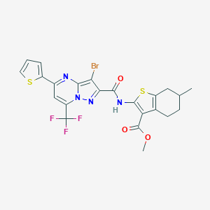 molecular formula C23H18BrF3N4O3S2 B332460 METHYL 2-[3-BROMO-5-(THIOPHEN-2-YL)-7-(TRIFLUOROMETHYL)PYRAZOLO[1,5-A]PYRIMIDINE-2-AMIDO]-6-METHYL-4,5,6,7-TETRAHYDRO-1-BENZOTHIOPHENE-3-CARBOXYLATE 