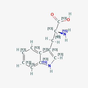 molecular formula C11H12N2O2 B3324986 L-Tryptophan-13C11,15N2 