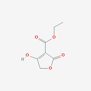 molecular formula C7H8O5 B3325367 4-羟基-2-氧代-2,5-二氢呋喃-3-羧酸乙酯 CAS No. 21053-90-7