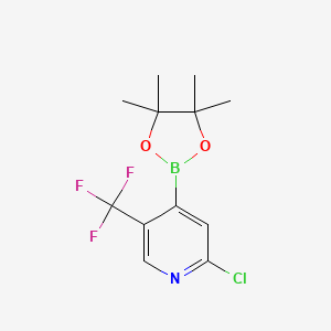 molecular formula C12H14BClF3NO2 B3325411 2-氯-4-(4,4,5,5-四甲基-1,3,2-二氧杂硼环-2-基)-5-(三氟甲基)吡啶 CAS No. 2121515-21-5
