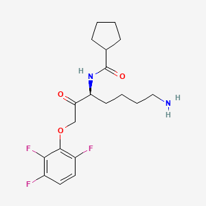 molecular formula C19H25F3N2O3 B3325773 Atuzaginstat CAS No. 2211981-76-7