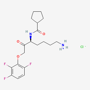 molecular formula C19H26ClF3N2O3 B3325780 Atuzaginstat hydrochloride CAS No. 2211981-77-8