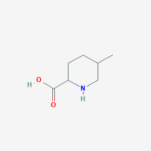 molecular formula C7H13NO2 B3326031 5-Methylpiperidine-2-carboxylic acid CAS No. 2287237-78-7
