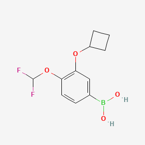 (3-Cyclobutoxy-4-(difluoromethoxy)phenyl)boronic acid