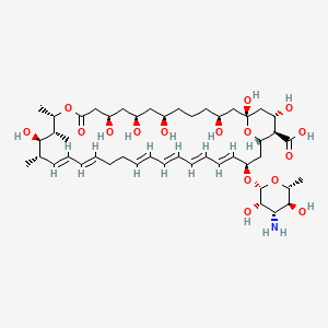molecular formula C47H75NO16 B3329963 Nystatin A2 CAS No. 65086-32-0
