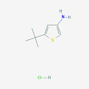 5-Tert-butylthiophen-3-amine;hydrochloride