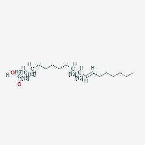 B3333689 trans-11-Octadecenoic acid-1,2,3,9,10-13C5 CAS No. 1255644-59-7