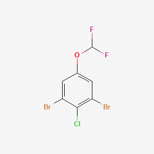 molecular formula C7H3Br2ClF2O B3335308 1,3-Dibromo-2-chloro-5-(difluoromethoxy)benzene CAS No. 1160573-79-4