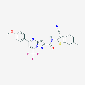 molecular formula C25H20F3N5O2S B333621 N-(3-cyano-6-methyl-4,5,6,7-tetrahydro-1-benzothiophen-2-yl)-5-(4-methoxyphenyl)-7-(trifluoromethyl)pyrazolo[1,5-a]pyrimidine-2-carboxamide 