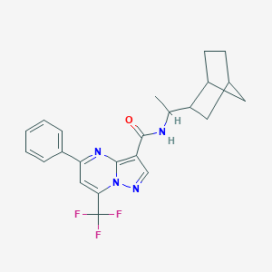 molecular formula C23H23F3N4O B333686 N~3~-(1-BICYCLO[2.2.1]HEPT-2-YLETHYL)-5-PHENYL-7-(TRIFLUOROMETHYL)PYRAZOLO[1,5-A]PYRIMIDINE-3-CARBOXAMIDE 