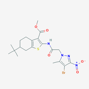 molecular formula C20H25BrN4O5S B333844 METHYL 2-{[2-(4-BROMO-5-METHYL-3-NITRO-1H-PYRAZOL-1-YL)ACETYL]AMINO}-6-(TERT-BUTYL)-4,5,6,7-TETRAHYDRO-1-BENZOTHIOPHENE-3-CARBOXYLATE 