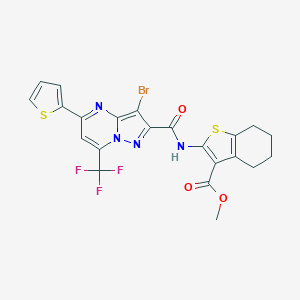 molecular formula C22H16BrF3N4O3S2 B334131 METHYL 2-[3-BROMO-5-(THIOPHEN-2-YL)-7-(TRIFLUOROMETHYL)PYRAZOLO[1,5-A]PYRIMIDINE-2-AMIDO]-4,5,6,7-TETRAHYDRO-1-BENZOTHIOPHENE-3-CARBOXYLATE 