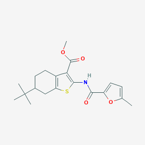 molecular formula C20H25NO4S B334702 methyl 6-tert-butyl-2-{[(5-methylfuran-2-yl)carbonyl]amino}-4,5,6,7-tetrahydro-1-benzothiophene-3-carboxylate 