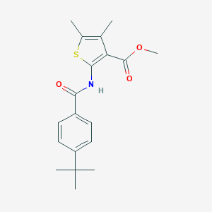 molecular formula C19H23NO3S B334703 METHYL 2-(4-TERT-BUTYLBENZAMIDO)-4,5-DIMETHYLTHIOPHENE-3-CARBOXYLATE 