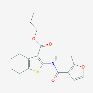 molecular formula C18H21NO4S B334783 PROPYL 2-{[(2-METHYL-3-FURYL)CARBONYL]AMINO}-4,5,6,7-TETRAHYDRO-1-BENZOTHIOPHENE-3-CARBOXYLATE 