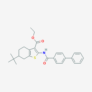 molecular formula C28H31NO3S B334840 ethyl 2-[([1,1'-biphenyl]-4-ylcarbonyl)amino]-6-tert-butyl-4,5,6,7-tetrahydro-1-benzothiophene-3-carboxylate 