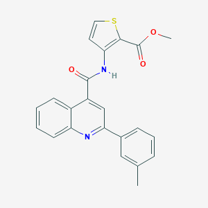 molecular formula C23H18N2O3S B334894 METHYL 3-[2-(3-METHYLPHENYL)QUINOLINE-4-AMIDO]THIOPHENE-2-CARBOXYLATE 