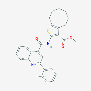 molecular formula C29H28N2O3S B335075 METHYL 2-({[2-(2-METHYLPHENYL)-4-QUINOLYL]CARBONYL}AMINO)-4,5,6,7,8,9-HEXAHYDROCYCLOOCTA[B]THIOPHENE-3-CARBOXYLATE 
